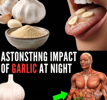 What Happens Overnight? – Healthy Life