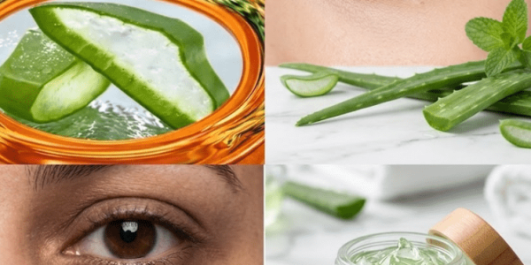 Can Aloe Vera Support Red, Dry, and Irritated Eyes After 40? – Healthy Life