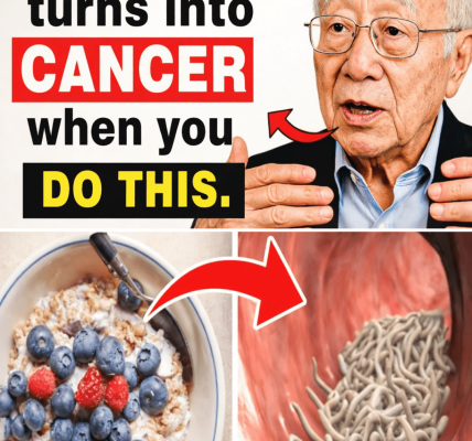 WARNING! Your Morning Oatmeal Could Be Silently Sabotaging Your Health – Unless You Avoid These 7 Deadly Mistakes – Health