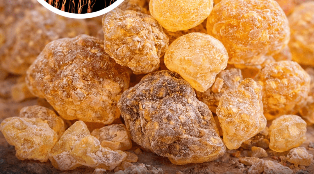 Could Frankincense Offer Mood Support? Exploring Research on Its Potential Benefits and Uses – Health