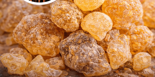 Could Frankincense Offer Mood Support? Exploring Research on Its Potential Benefits and Uses – Health