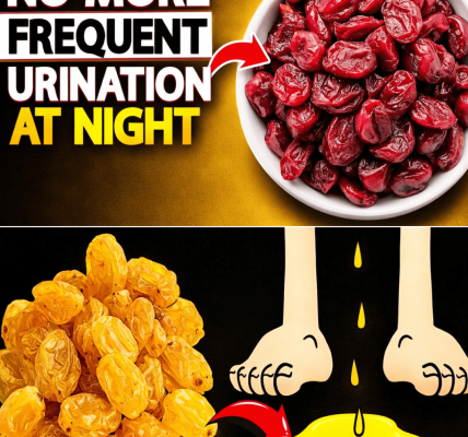 Over 60? These 3 Dry Fruits Before Bed May Help Calm Nighttime Urination and Promote Deeper Sleep – Health