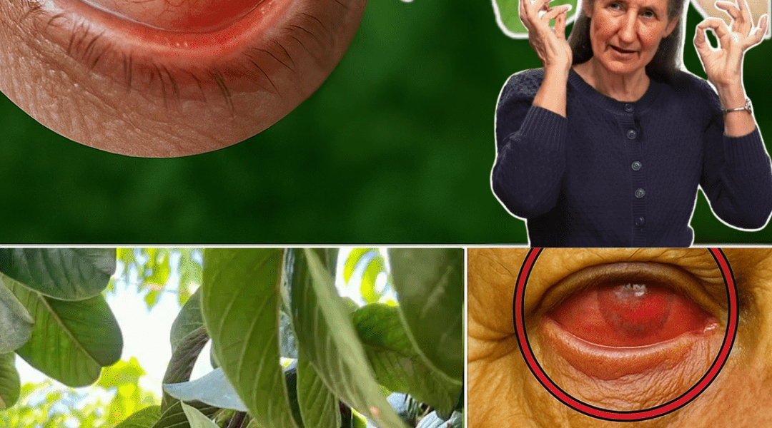 Unlock Crystal-Clear Vision with Nature’s Hidden Superfruit – dogpjs.com – Health