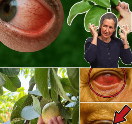 Unlock Crystal-Clear Vision with Nature’s Hidden Superfruit – dogpjs.com – Health