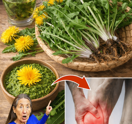 Why This Common Plant Is Truly Worth Exploring – Health