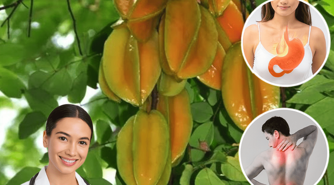 9 Surprising Facts About Star Fruit Leaves You Probably Wish You’d Known Sooner – Health