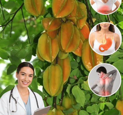 9 Surprising Facts About Star Fruit Leaves You Probably Wish You’d Known Sooner – Health