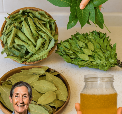 Discover Four Everyday Leaves That May Support Your Overall Wellness and Metabolic Health – Health