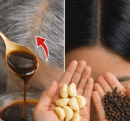 My Grandma’s Simple Kitchen Routine Helped Her Hair Look Thicker and More Vibrant – Could This Everyday Habit Work for You Too? My Grandma’s Simple Kitchen Routine Helped Her Hair Look Thicker and More Vibrant – Could This Everyday Habit Work for You Too?