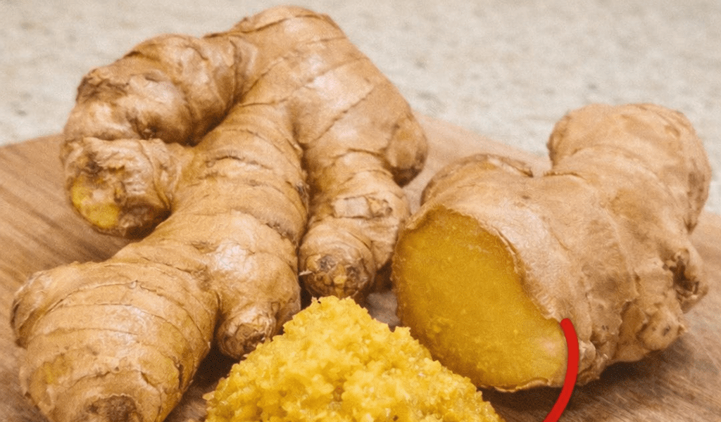 Ginger is healthy for most people — but not for everyone. See the list of 4 conditions + doctor’s explanation 1st Ginger is healthy for most people — but not for everyone. See the list of 4 conditions + doctor’s explanation 1st
