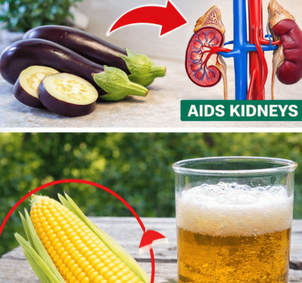 12 Superfoods to Support Healthy Creatinine Levels and Boost Kidney Wellness | Health Haus 12 Superfoods to Support Healthy Creatinine Levels and Boost Kidney Wellness | Health Haus