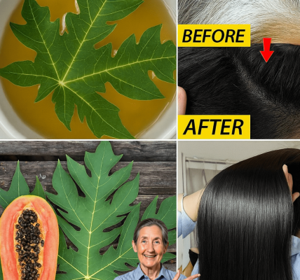 Can Papaya Leaves Turn Back Time on Your Hair? – Health