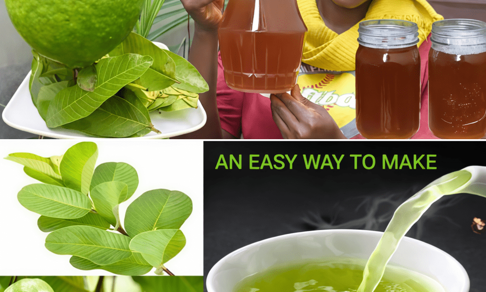 17 Reasons Why You Should Drink Guava Leaf Tea Twice a Week – Health