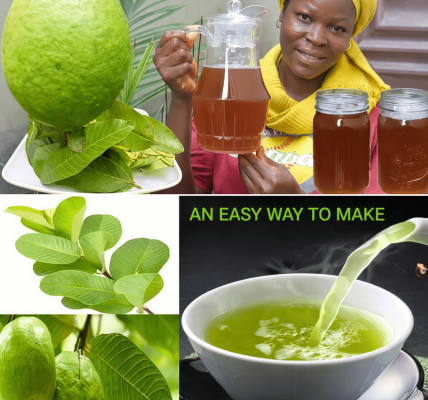 17 Reasons Why You Should Drink Guava Leaf Tea Twice a Week – Health