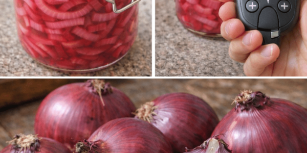 Have You Tried This Simple Red Onion Pickle for Everyday Wellness?