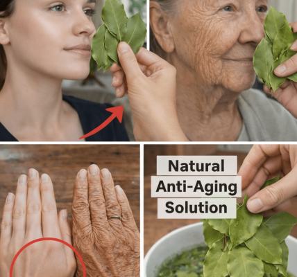 Bay Leaf 1,000,000× Stronger Than Botox – Erases ALL Wrinkles Even at The Age of 70 | Senior Health