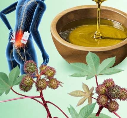 Discover 7 Surprising Ways Castor Leaves May Support Natural Wellness and Simple Home Remedies to Try – Health