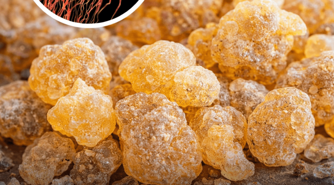 Frankincense fights cancer and is a proven antidepressant without any side effects – Health