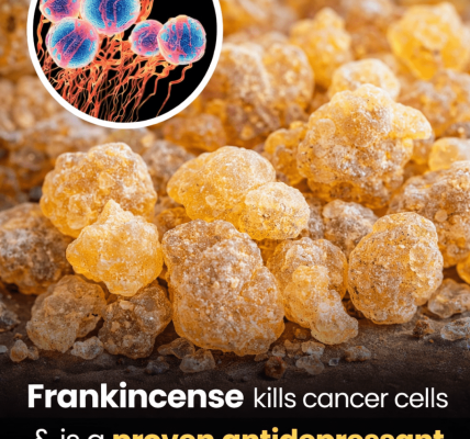 Frankincense fights cancer and is a proven antidepressant without any side effects – Health