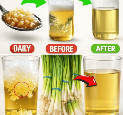 Discover the Top 10 Superfoods That May Help Support Kidney Function and Manage Proteinuria Naturally Discover the Top 10 Superfoods That May Help Support Kidney Function and Manage Proteinuria Naturally