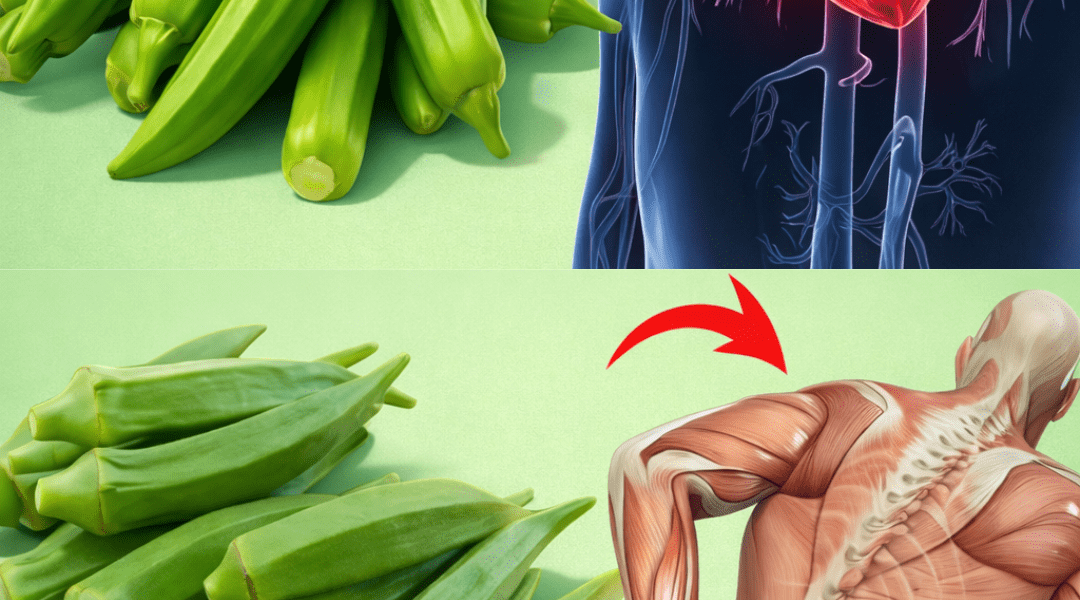 Discover 15 Simple Ways to Include Okra in Your Diet for Everyday Health and Wellness Support Discover 15 Simple Ways to Include Okra in Your Diet for Everyday Health and Wellness Support
