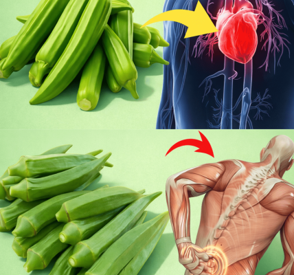 Discover 15 Simple Ways to Include Okra in Your Diet for Everyday Health and Wellness Support