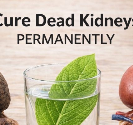 7 Simple Daily Habits to Support Kidney Health Naturally
