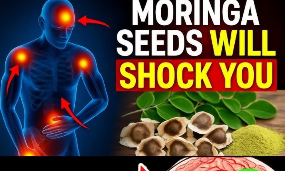 12 Moringa Seed Benefits You’ll Never Hear from Your Doctor (But You Should Know) 12 Moringa Seed Benefits You’ll Never Hear from Your Doctor (But You Should Know)