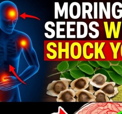 12 Moringa Seed Benefits You’ll Never Hear from Your Doctor (But You Should Know)