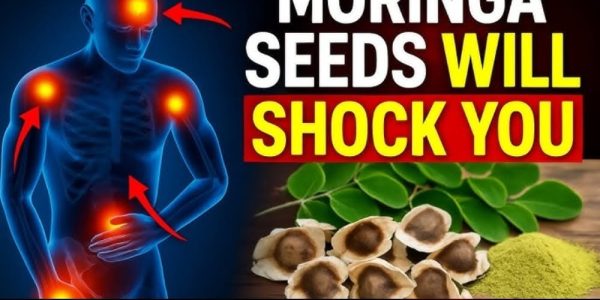 12 Moringa Seed Benefits You’ll Never Hear from Your Doctor (But You Should Know)