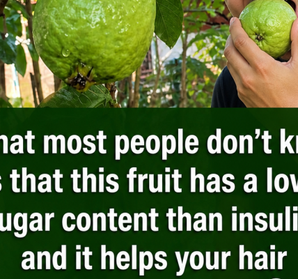 Discover the Power of Guava