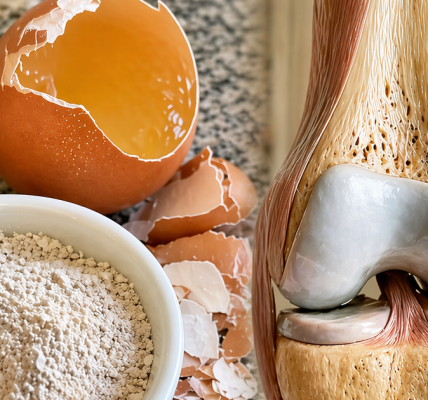 A Hidden Treasure for Strong Bones and Better Health A Hidden Treasure for Strong Bones and Better Health