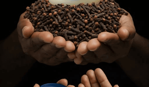 The Old-School “Biological Shield” Trick Thousands Are Quietly Using for Fast, Natural Relief – healthtips