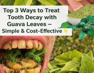 Are Guava Leaves a Smart Oral Care Habit or a Risky Shortcut?