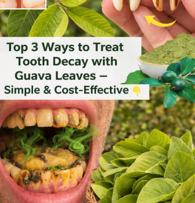 Are Guava Leaves a Smart Oral Care Habit or a Risky Shortcut?