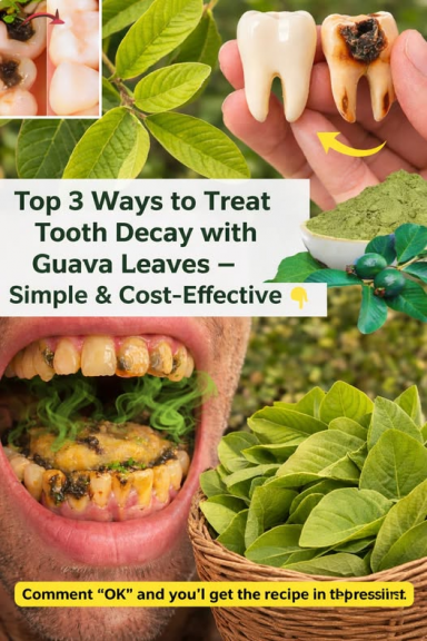 Are Guava Leaves a Smart Oral Care Habit or a Risky Shortcut? Are Guava Leaves a Smart Oral Care Habit or a Risky Shortcut?