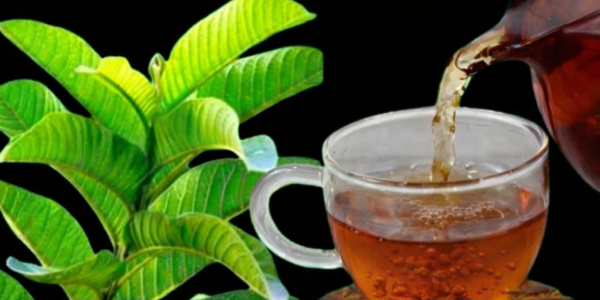 Benefits, Properties, and How to Prepare It Naturally