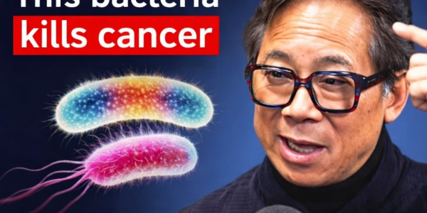 The Gut Bacteria That Could Transform Your Health and Longevity