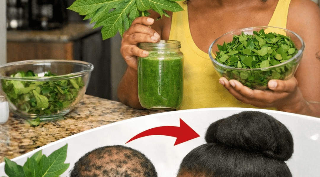 Everything You Need to Know About Adding Papaya Leaves to Your Daily Hair Care Routine Everything You Need to Know About Adding Papaya Leaves to Your Daily Hair Care Routine