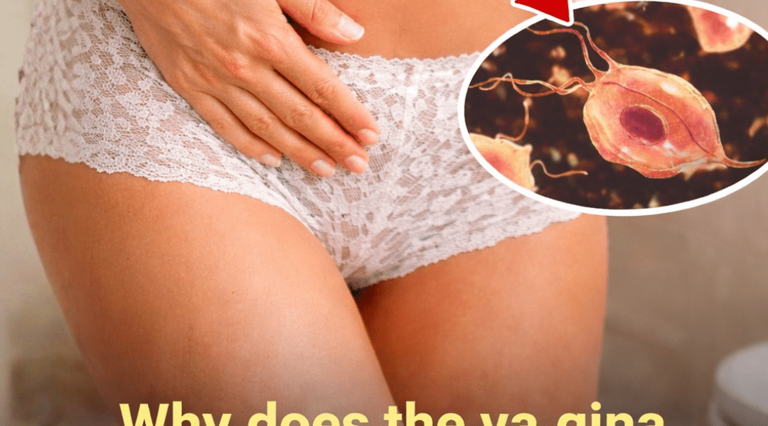 Why Does Your Vaginal Discharge Smell Sour? What Every Woman Should Know About Vaginal Wellness Why Does Your Vaginal Discharge Smell Sour? What Every Woman Should Know About Vaginal Wellness