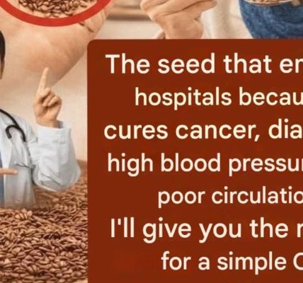 5 Powerful Seeds for Everyday Health: What Science Really Says