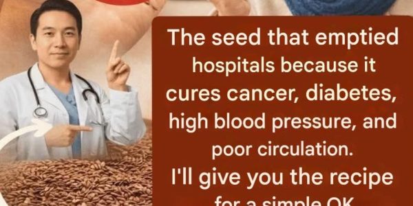 5 Powerful Seeds for Everyday Health: What Science Really Says