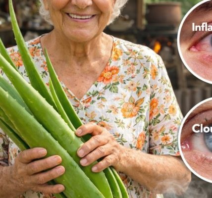 🌿 Aloe Vera Benefits for Daily Wellness, Skin & Eye Health