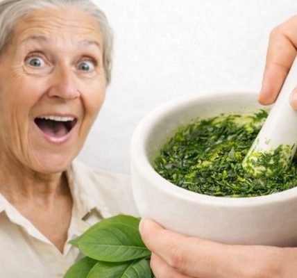 The Powerful Leaf People Are Talking About — What the Research Really Says The Powerful Leaf People Are Talking About — What the Research Really Says