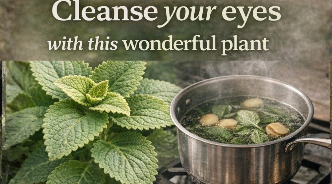 Benefits, Uses, and Natural Ways to Support Clear Vision