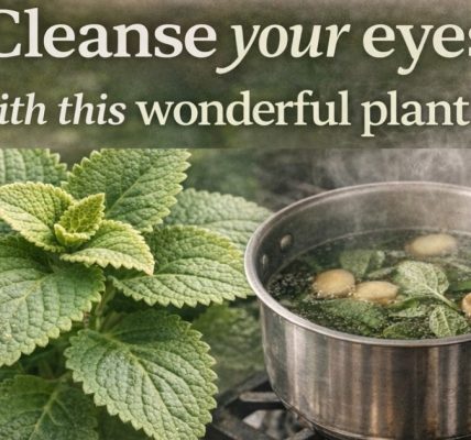 Benefits, Uses, and Natural Ways to Support Clear Vision