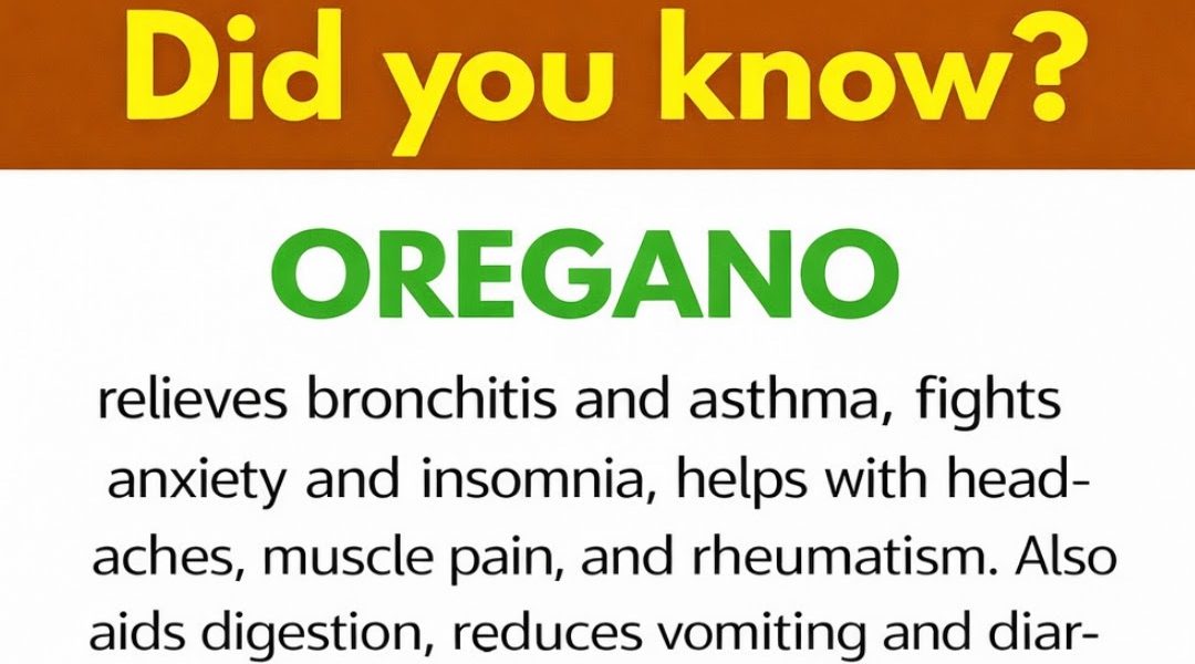 Nature’s Most Powerful Herb and Its Health Benefits Nature’s Most Powerful Herb and Its Health Benefits