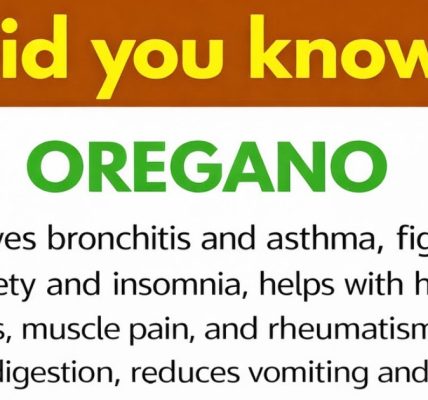 Nature’s Most Powerful Herb and Its Health Benefits Nature’s Most Powerful Herb and Its Health Benefits