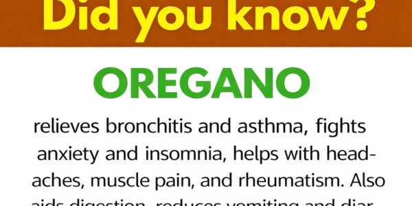 Nature’s Most Powerful Herb and Its Health Benefits
