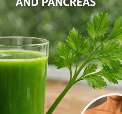 15 Powerful Reasons You Should Be Eating Celery Every Day